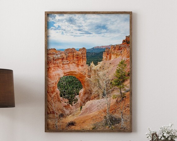 Bryce Canyon Utah Red Rock Natural Bridge Desert Photo Poster