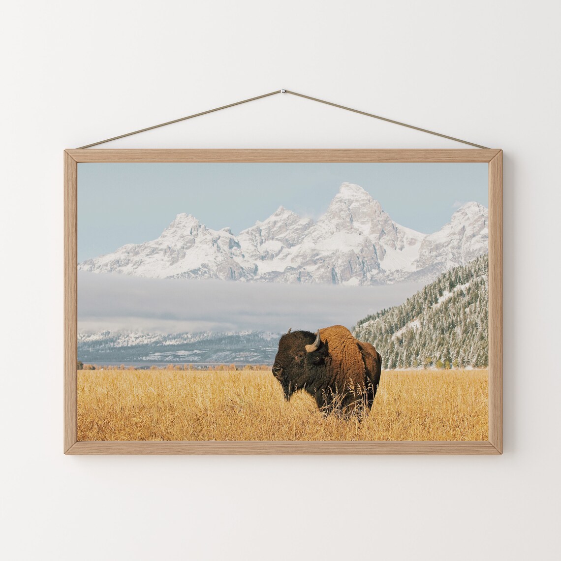 Bison With Teton Mountains Wildlife Art Print - Image 3