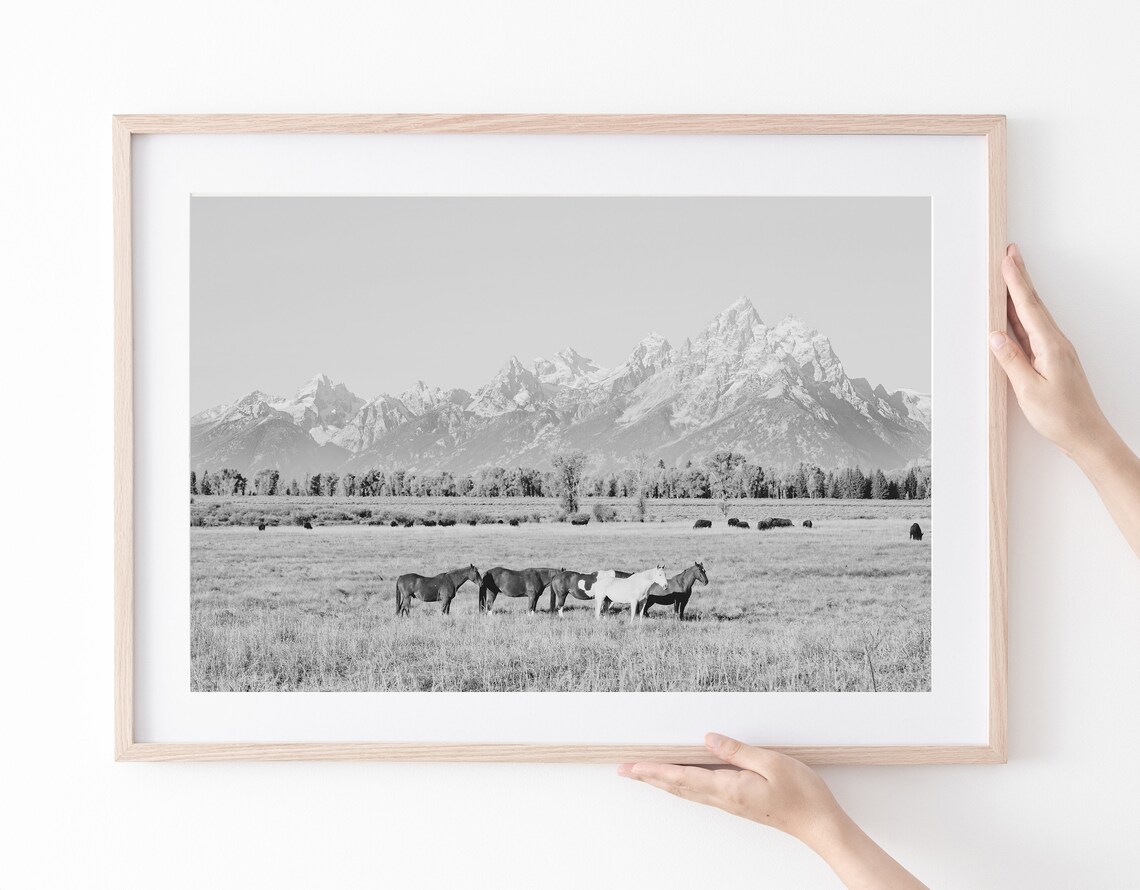 Horses in Grand Teton Black and White Art Print - Image 2