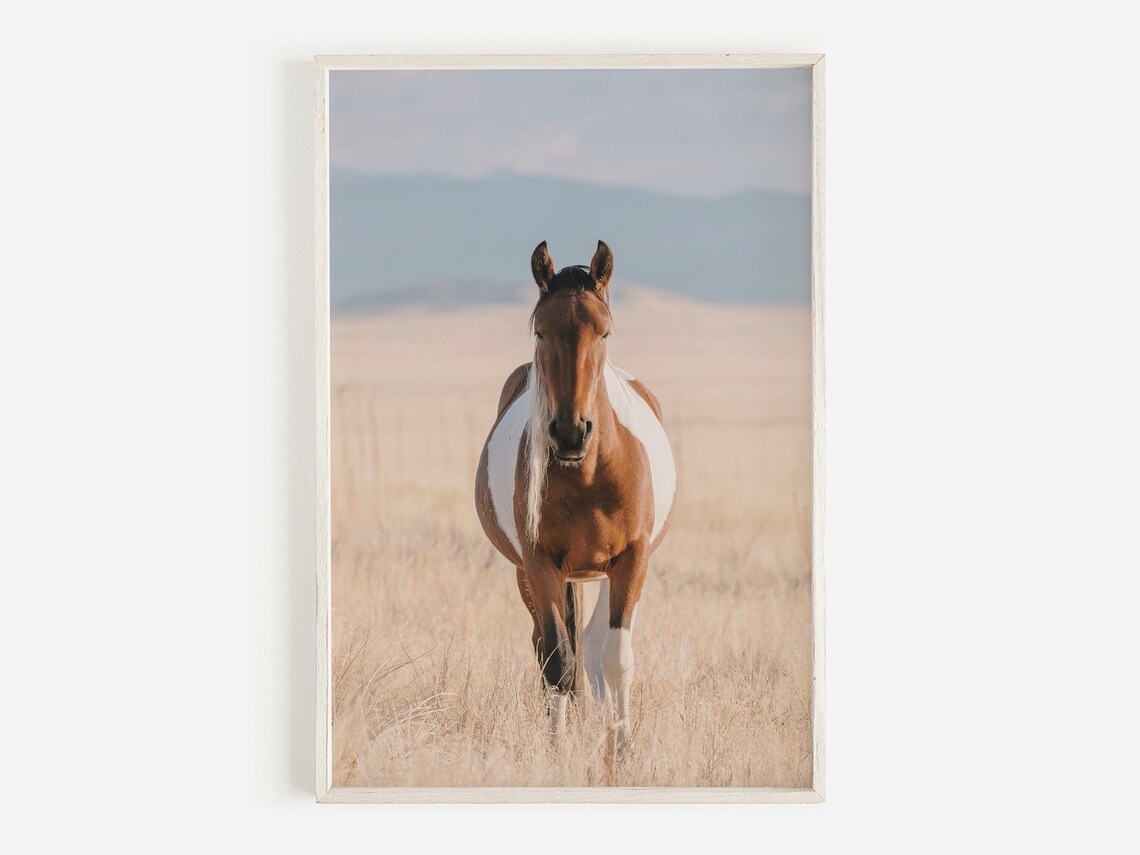 Western Horse Wall Art, Wild Horse Poster