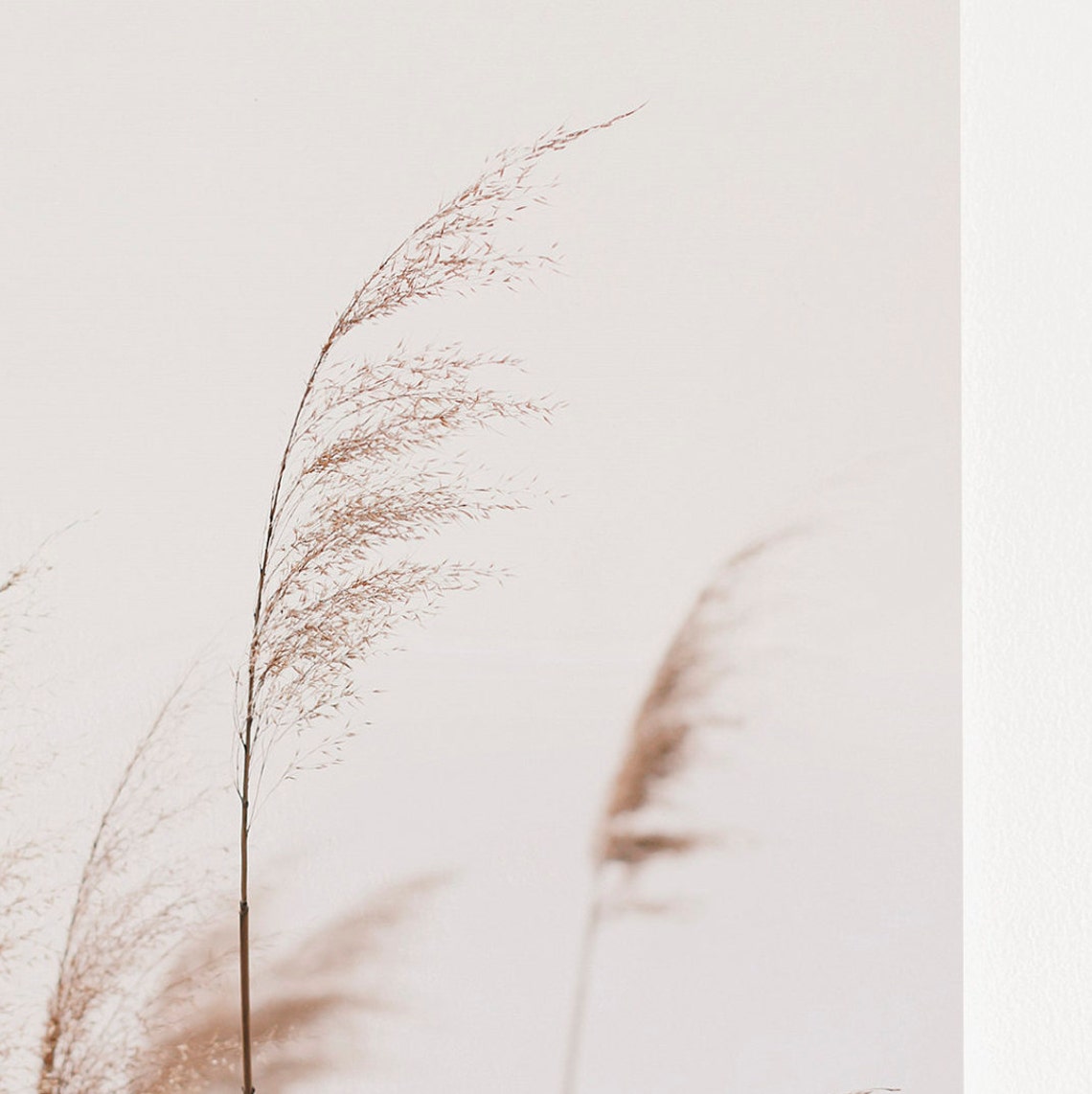 Pampas Grass Beach Wall Art Print - Image 2