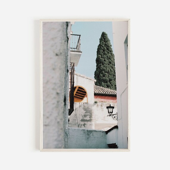 Italy Mediterranean Old Town Whitewashed Cypress Alley Photo Poster