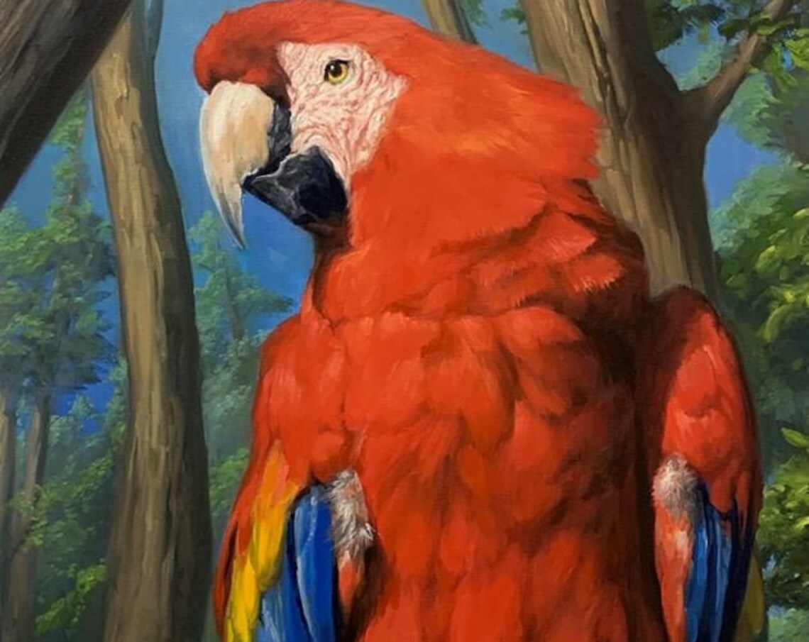 Scarlet Macaw Close Up In Lush Rainforest Bright Parrot Poster