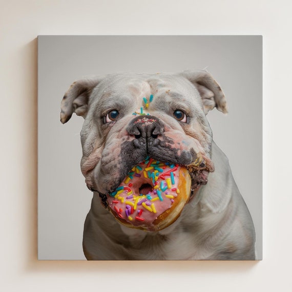 English Bulldog Funny Eating Donut, Kitchen Art Print