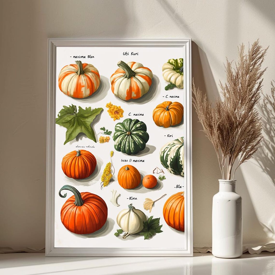 Pumpkin Varieties Botanical Illustration Watercolor Squash Poster - Image 3