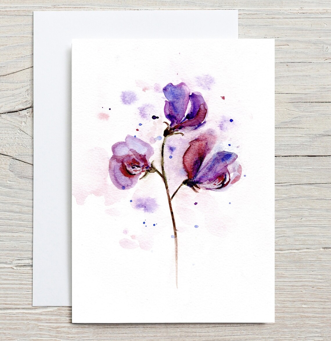 Sweet Pea Botanical Card, Floral Art Print