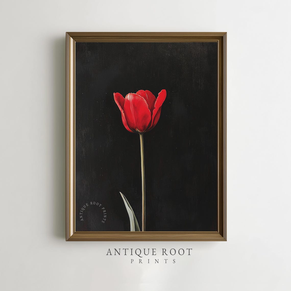 Red Tulip On Black Background Poster Vintage Botanical Floral Study