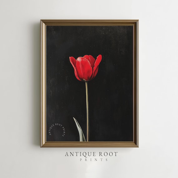 Vintage Red Tulip Botanical Print Dark Moody Floral Art Minimalist Farmhouse Decor Wall Instant