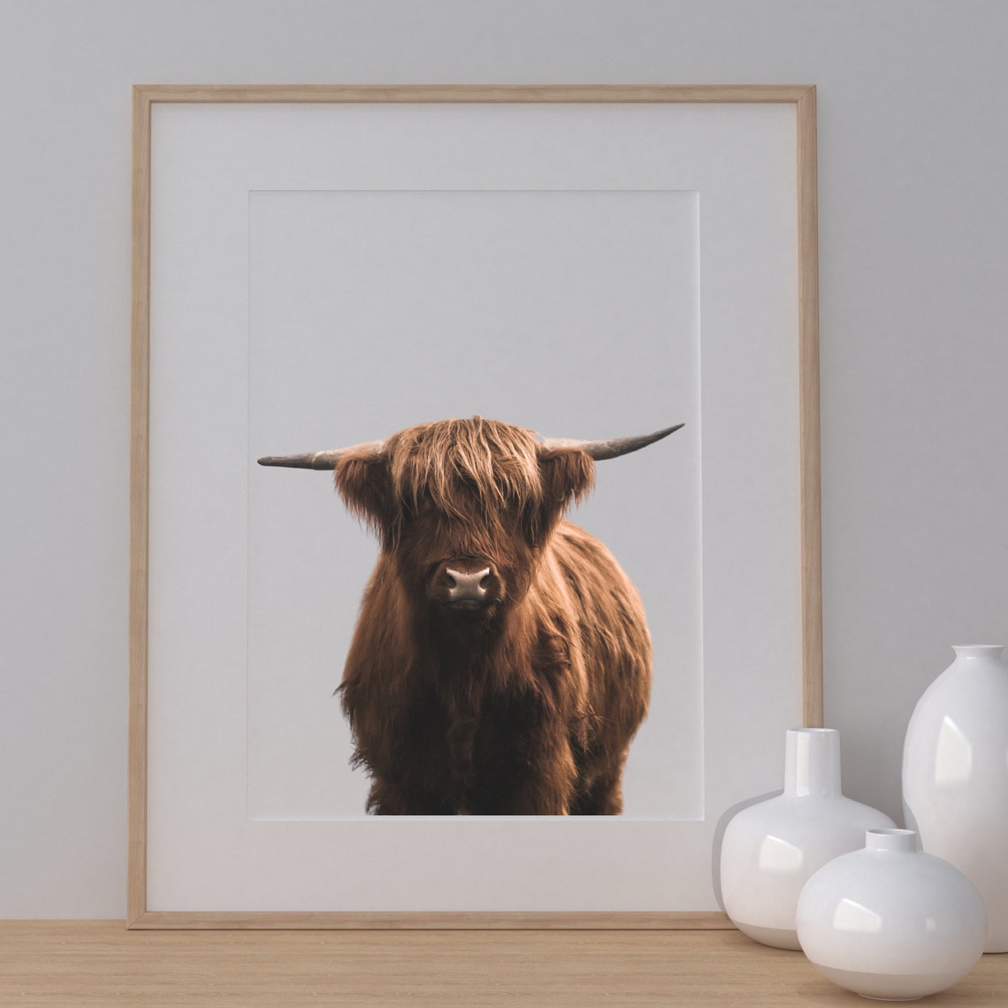 Highland Cow Poster Shaggy Brown Cow Portrait On Clean White - Image 3