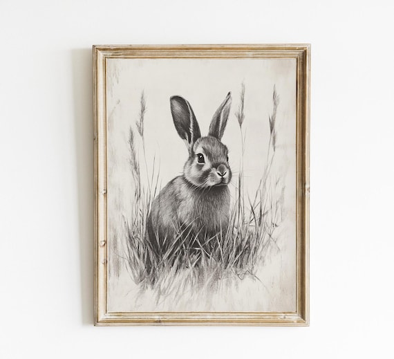 Vintage Spring Rabbit Sketch Wildflower Grass Rustic Art Poster