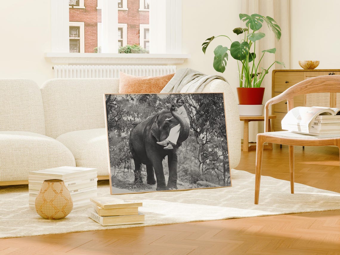 Playful Woman Riding Elephant Vintage Black And White Photo Poster - Image 2