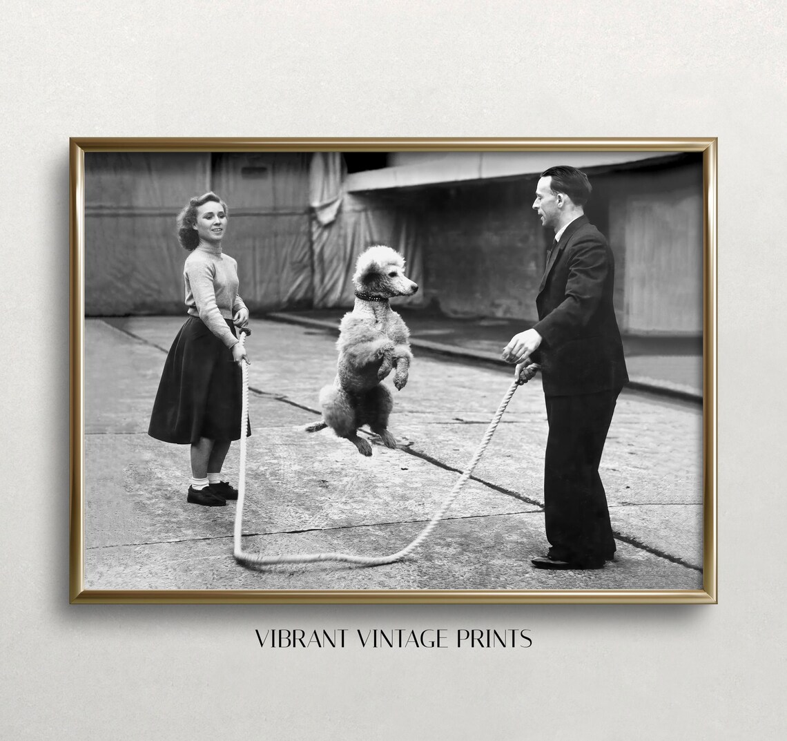 Poodle Jumping Rope Vintage Art Print, Black And White