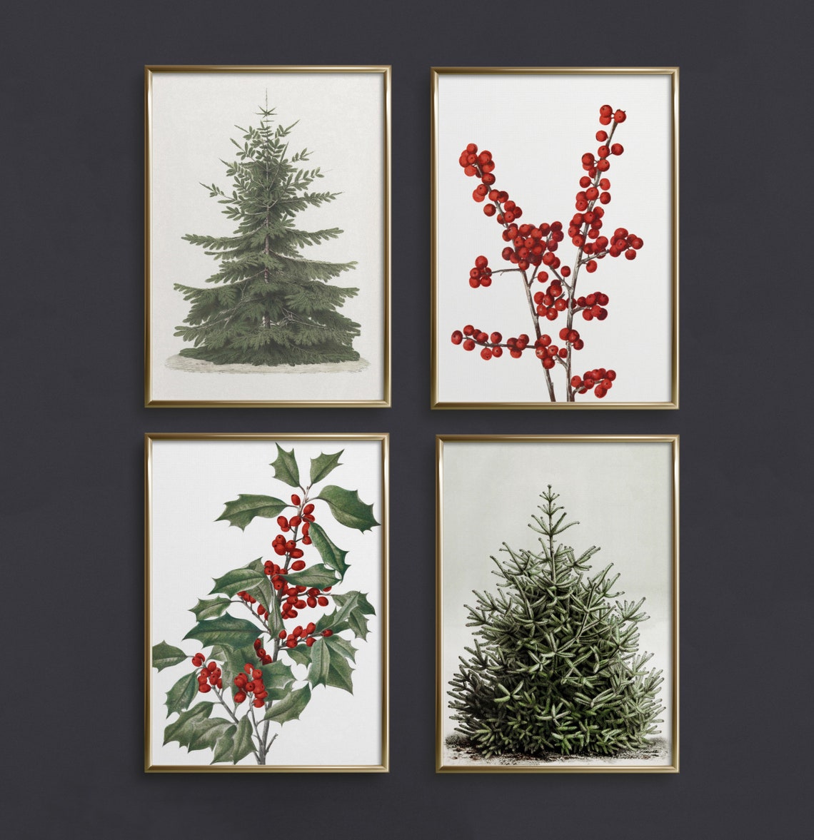 Christmas Botanical Four Panel Evergreen Holly Berries Print Set