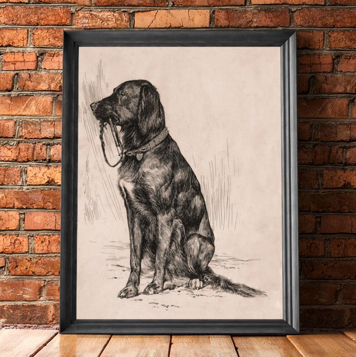 Vintage Black Labrador Art Sketch Wall Art Print - Image 4