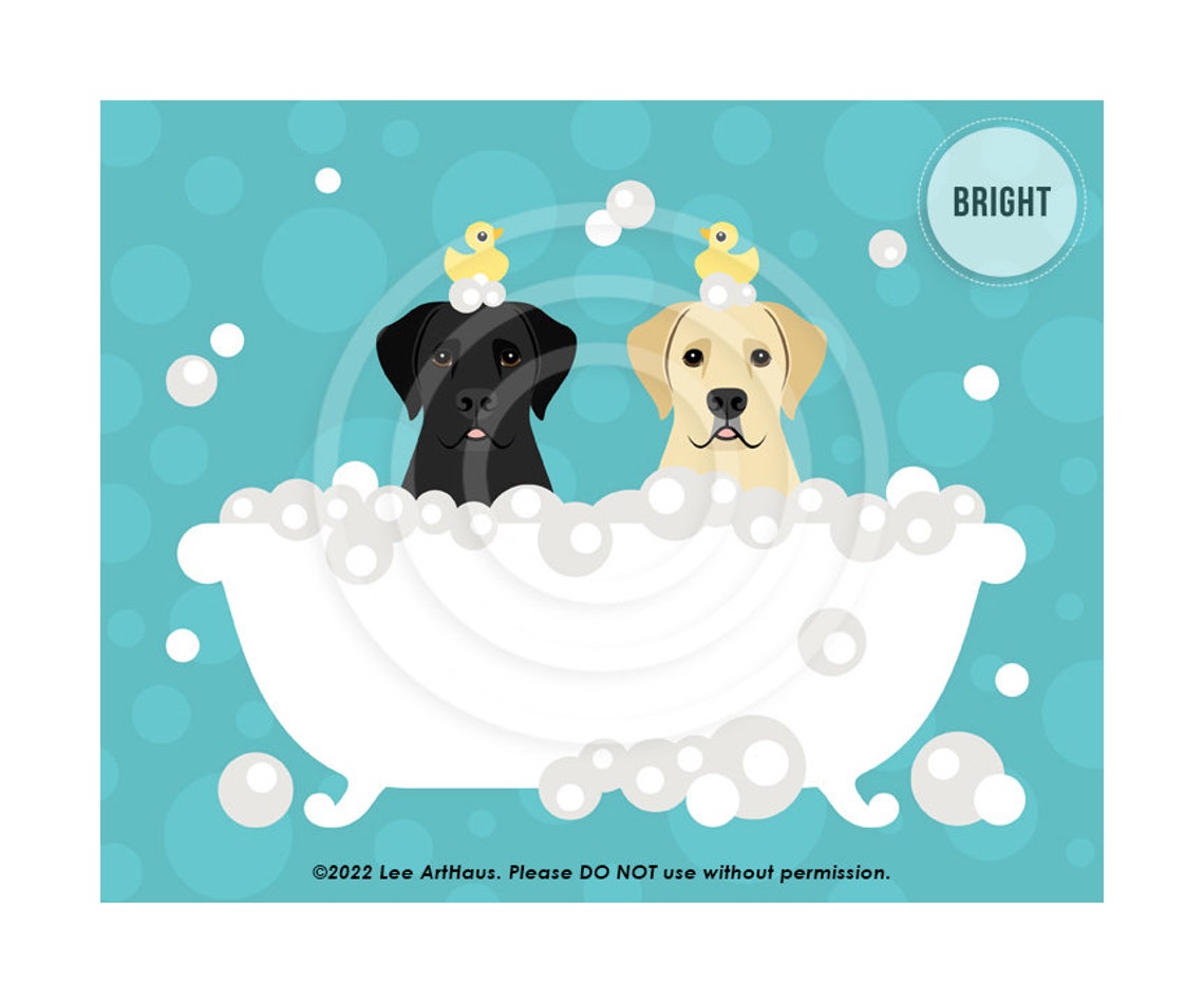Black Lab And Yellow Lab Bubble Bath Rubber Ducks Cute Dog Art Poster