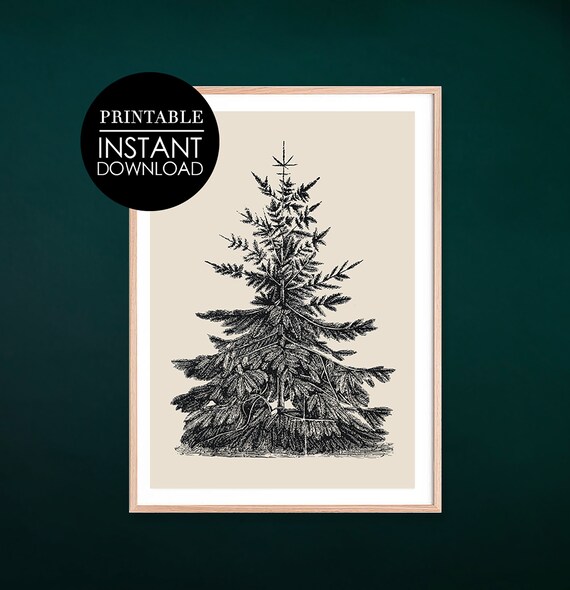 Pine Tree Black Ink Botanical Engraving Vintage Style Art Print