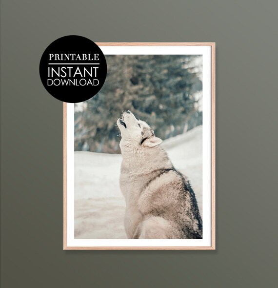 Wolf Print Art Wall Decor Holiday In The Snow Winter Animal