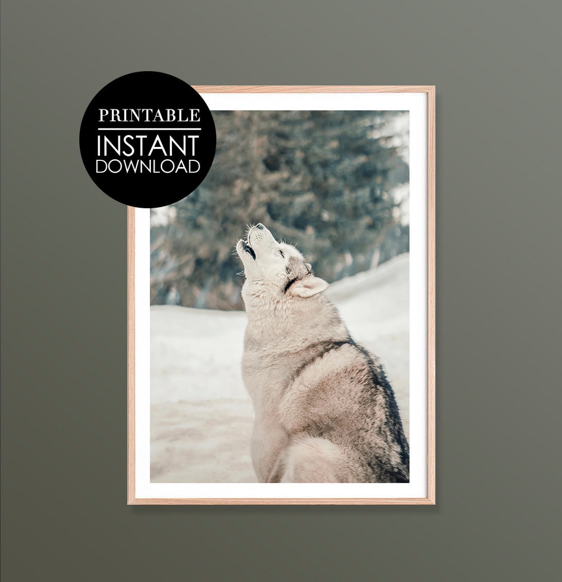 Howling Wolf in Snow Winter Wildlife Photography Animal Poster