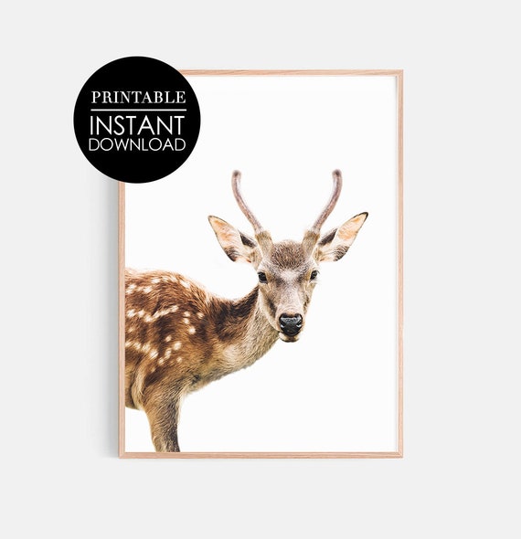 Fawn Print Deer Wall Art Christmas Decor Holiday Woodlands Animal Nursery