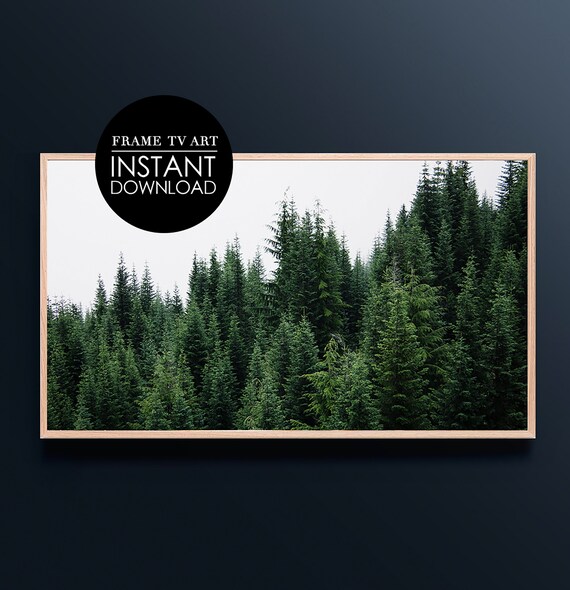 Evergreen Pine Forest Minimalist Green Woodland Calm Nature Wall Decor Print