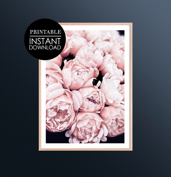 Blush Pink Peonies Soft Floral Photography Closeup Wall Poster
