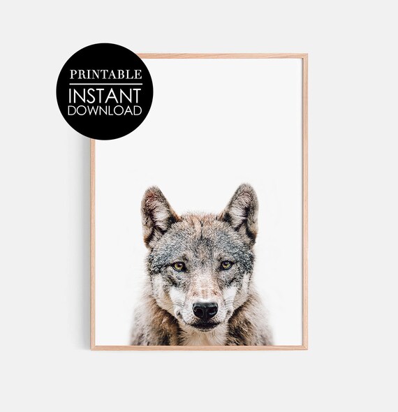 Wolf Print Art Wall Animal Poster Holiday Photography Wilderness