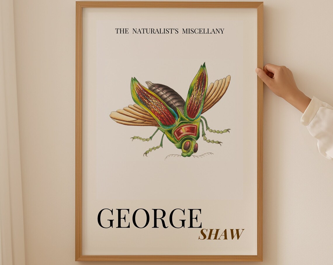 George Shaw Antique Exotic Insect Illustration Exhibition Poster
