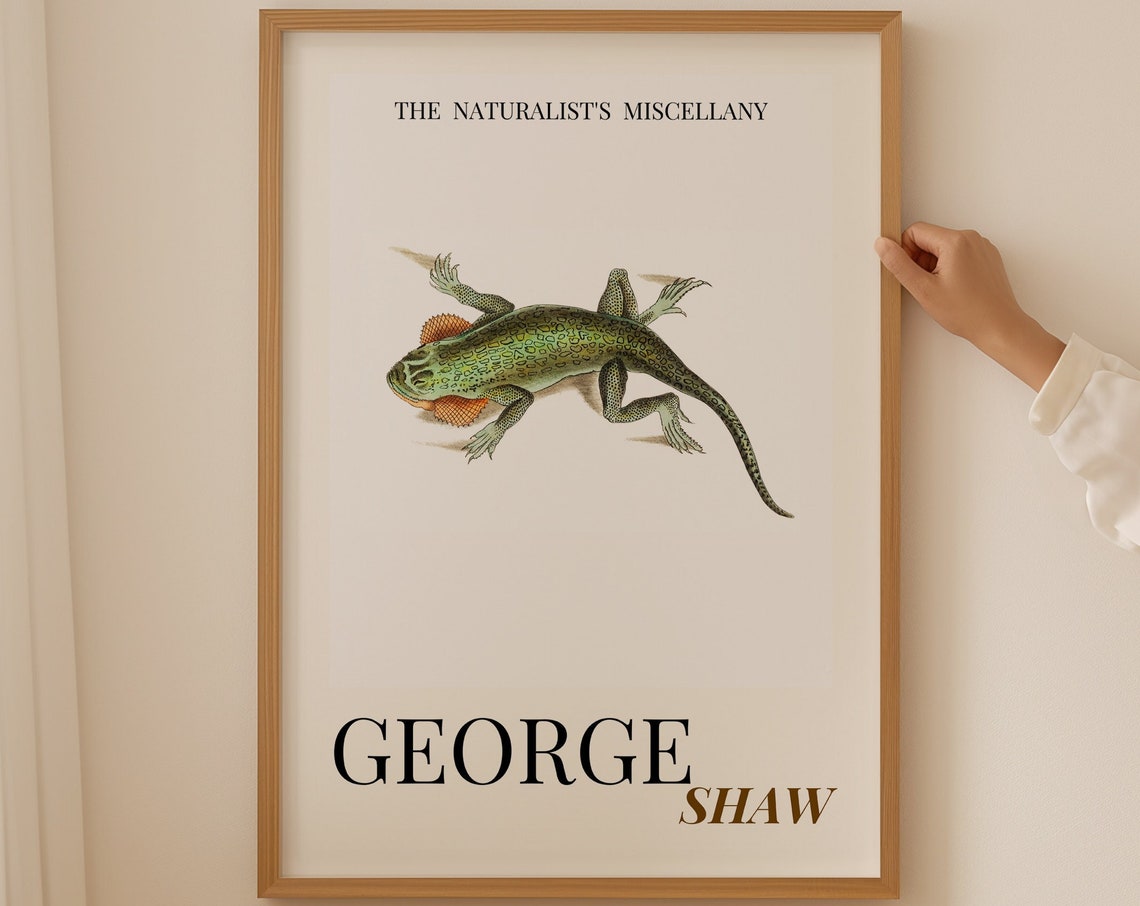 George Shaw Antique Green Lizard Natural History Exhibition Poster