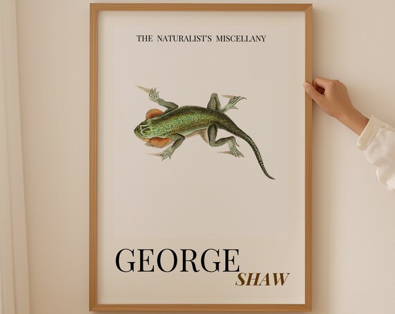 George Shaw Antique Green Lizard Natural History Exhibition Poster