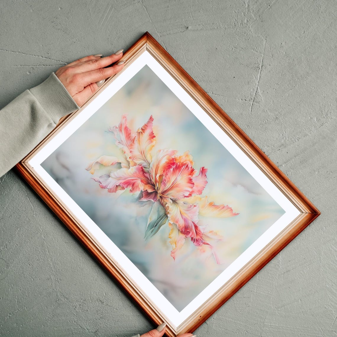 Parrot Tulip Watercolor Single Bloom Soft Pink Floral Wall Art