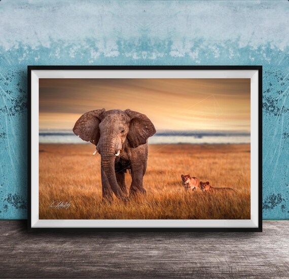 Safari Pride Artwork Amboseli Elephant And Lions Boho Wall Decor