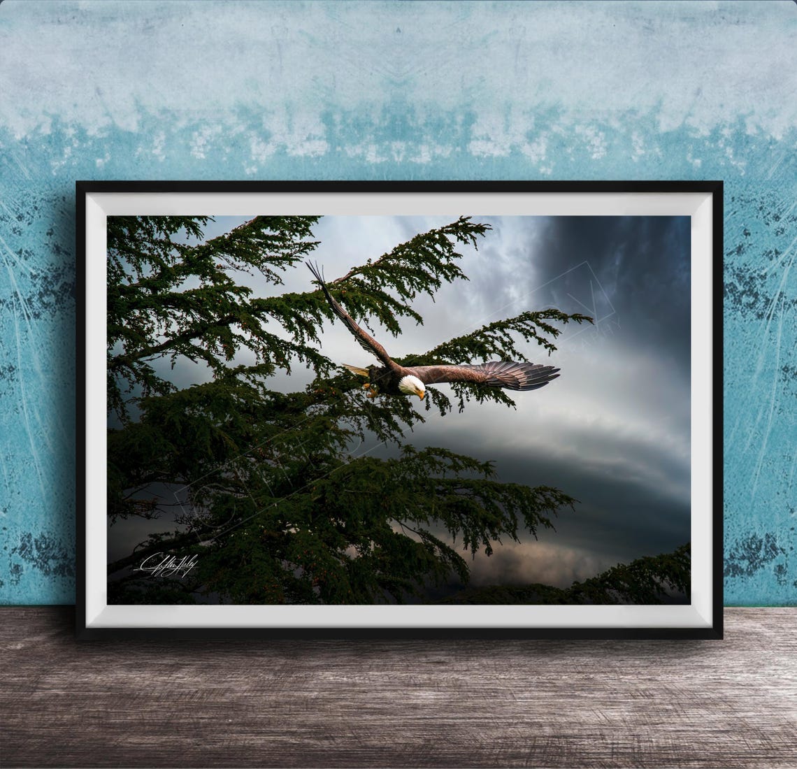 Bald Eagle Soaring Above Storm Clouds and Evergreen Trees Poster