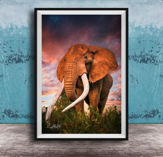 Elephant Wall Art Big Tusker At Sunset Maasai Culture Inspired