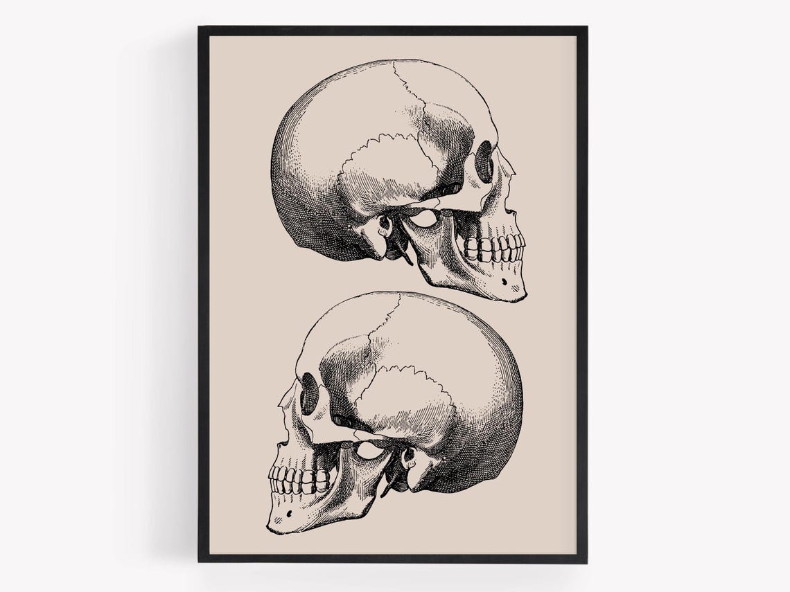 Vintage Anatomical Skull Engraving Dual Skeleton Gothic Art Poster - Image 2