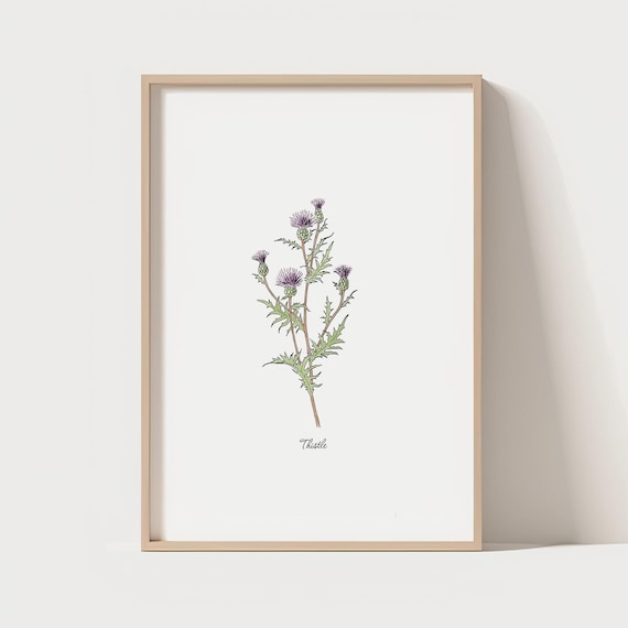 Minimalist Thistle Line Art Print Scandinavian Decor