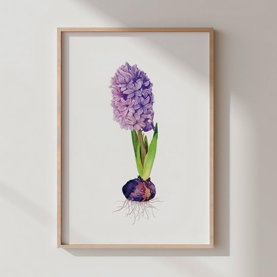 Purple Hyacinth Watercolor Print Botanical Wall Art
