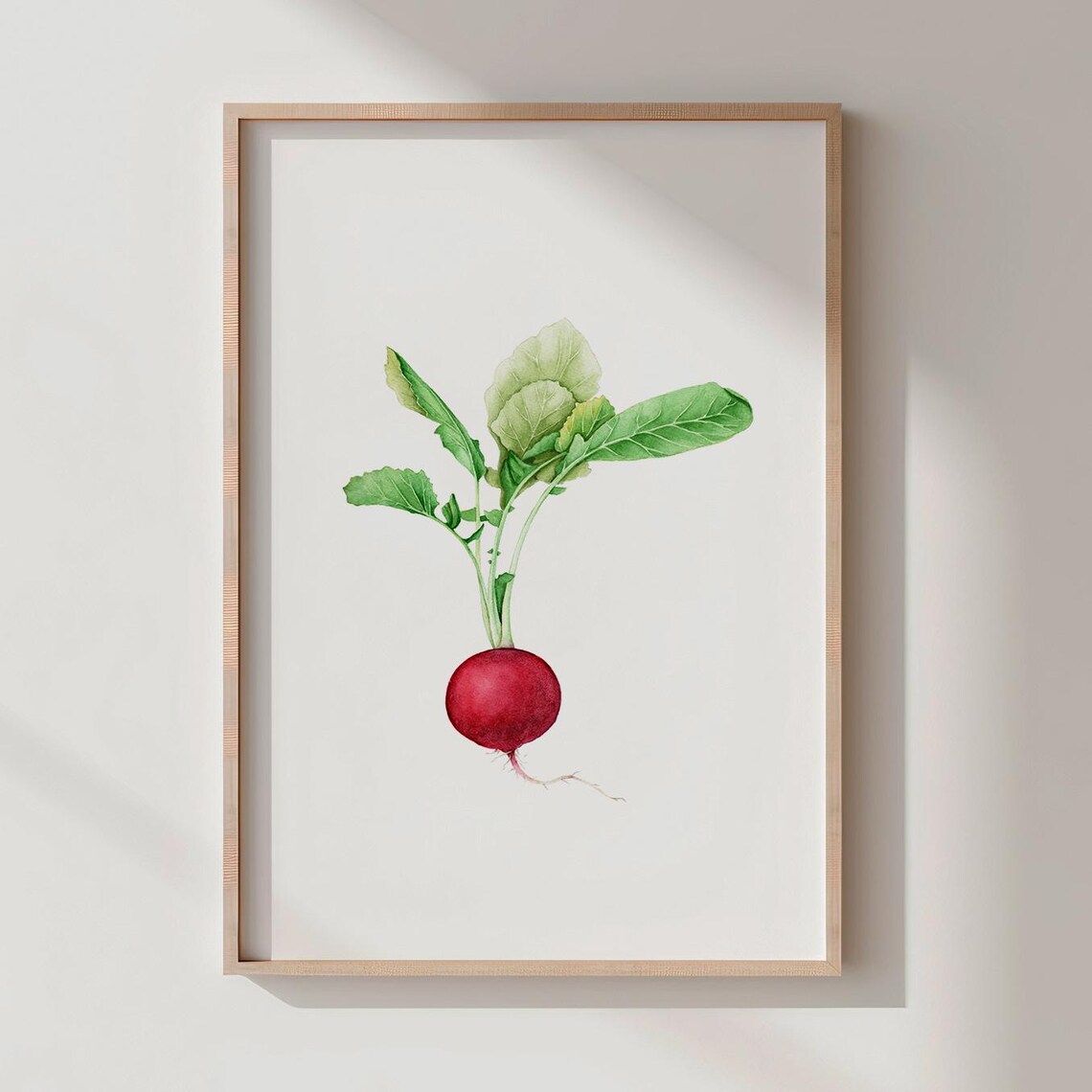 Watercolor Radish Art Print, Rustic Kitchen Decor