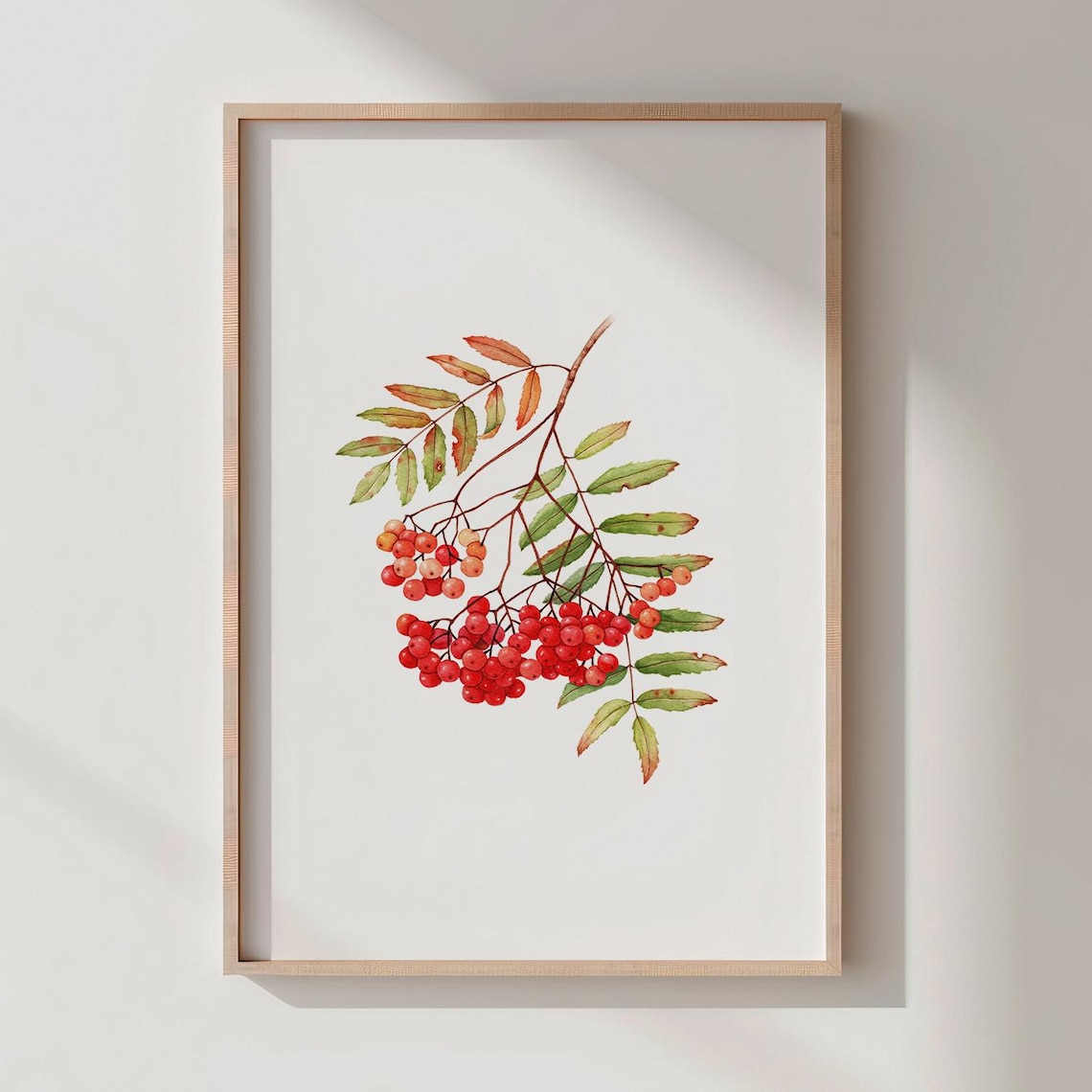 Korean Mountain Ash Branch with Red Berries Botanical Watercolor Poster