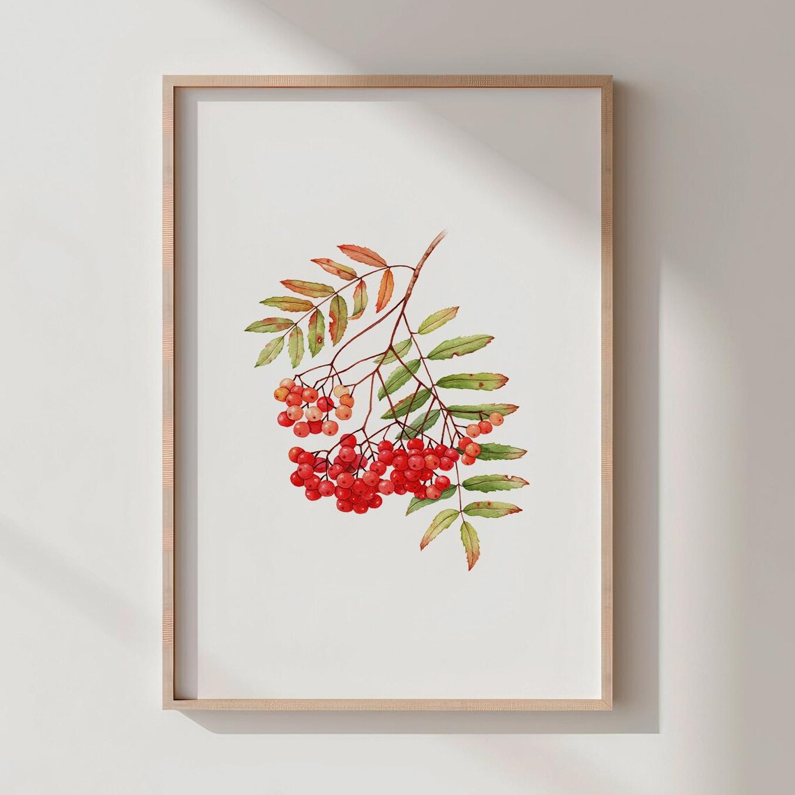 Korean Mountain Ash Watercolor Print Red Berries Botanical Art