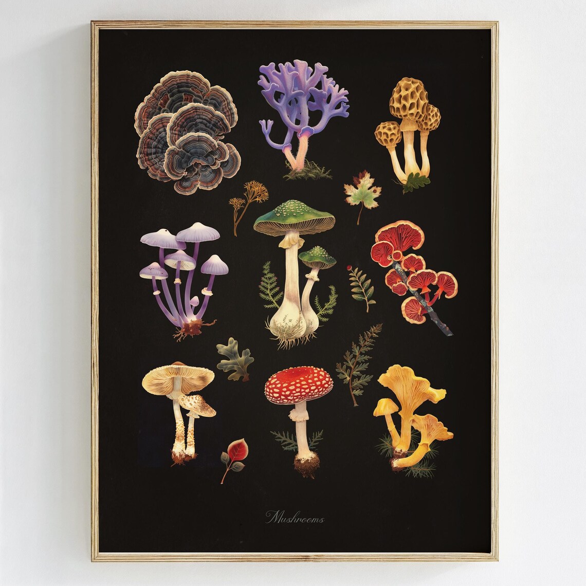 Vintage Mushroom Fungi Botanical Species Chart Dark Wall Art