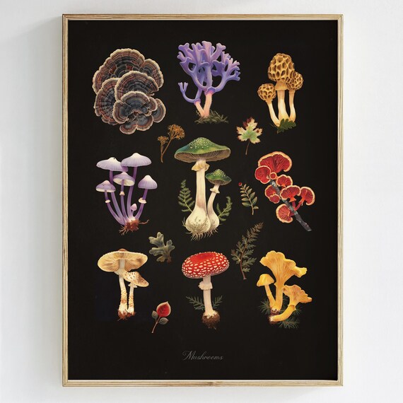 Vintage Mushroom Fungi Botanical Species Chart Dark Wall Art