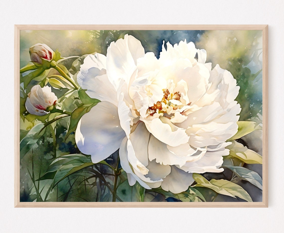 White Peony Blossom Close Up Botanical Watercolor Floral Art Print