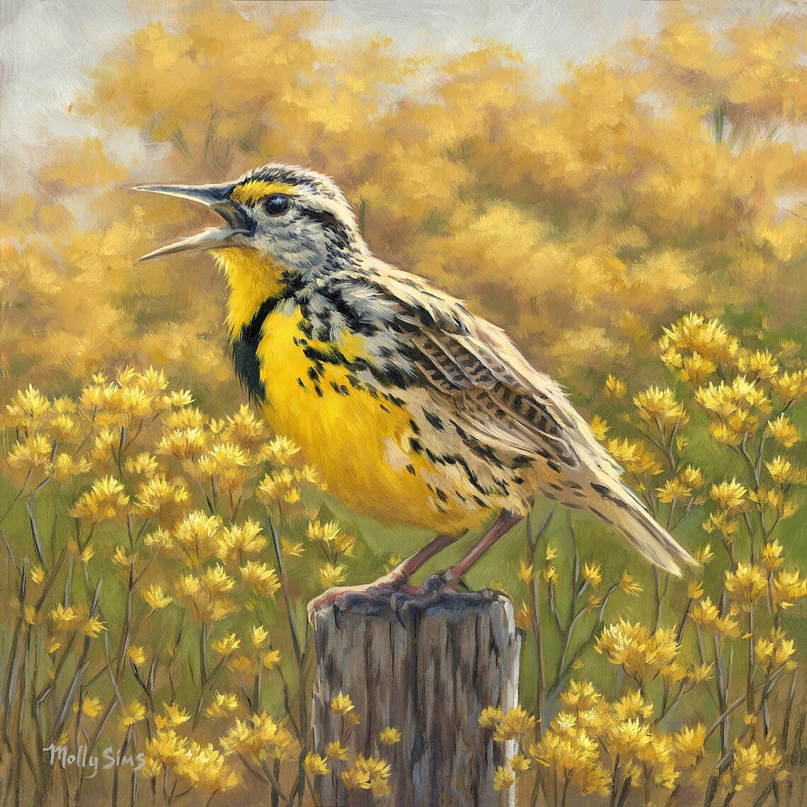 Meadowlark Bird Art Print, Yellow Songbird Painting