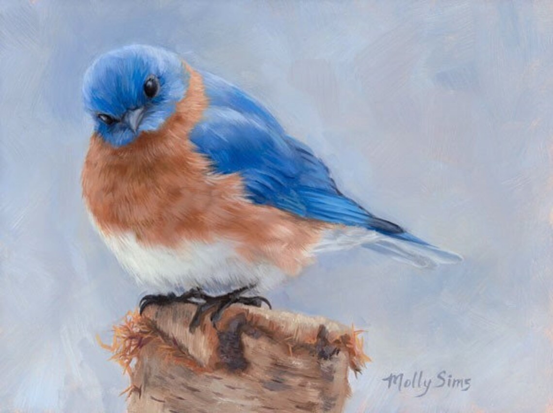 Eastern Bluebird Art Print, Songbird Nature Decor