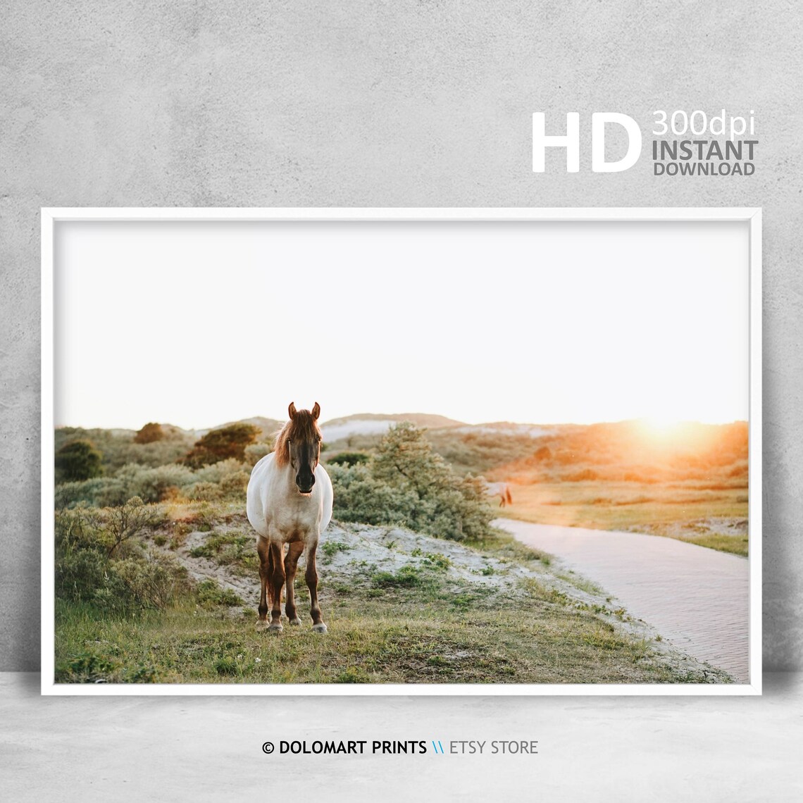 Wild Horse Print, Farmhouse Wall Art Photo