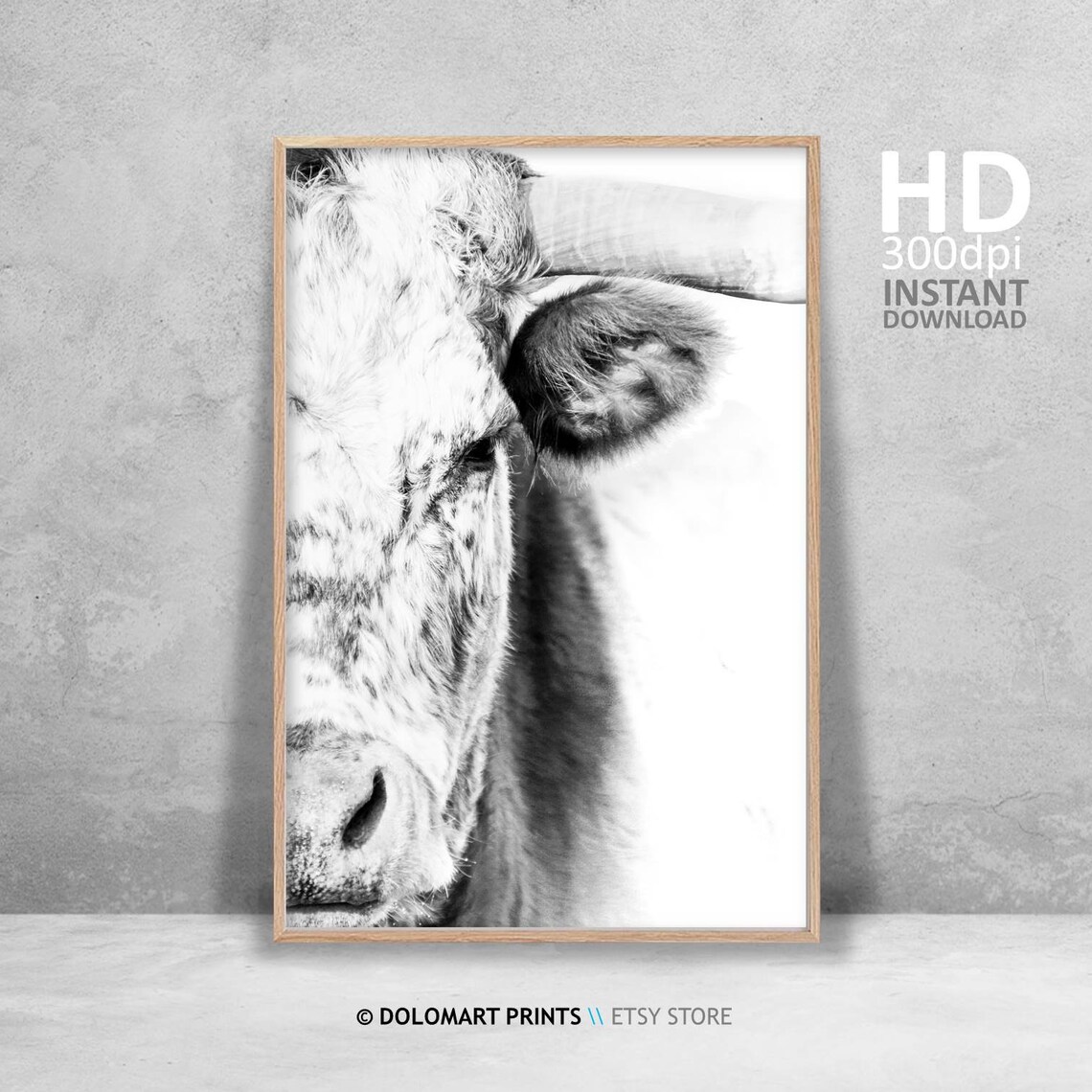Cow and Bull Farmhouse Animal Photography Art Print - Image 4