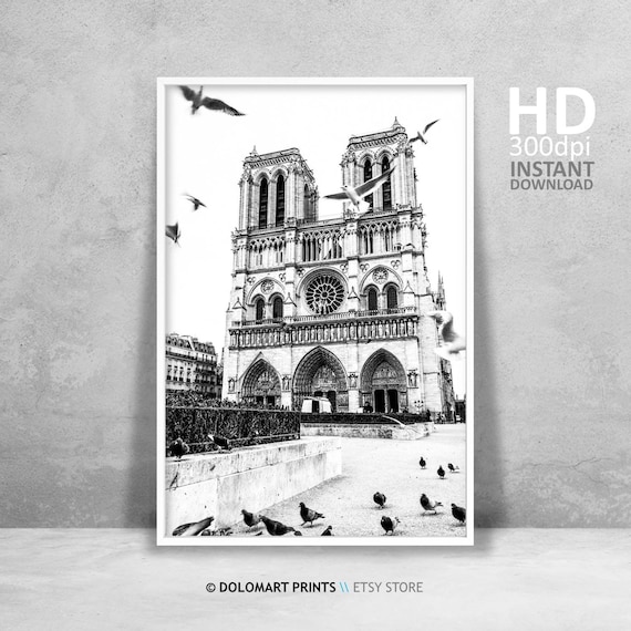 Notre Dame Paris Architecture Travel Poster