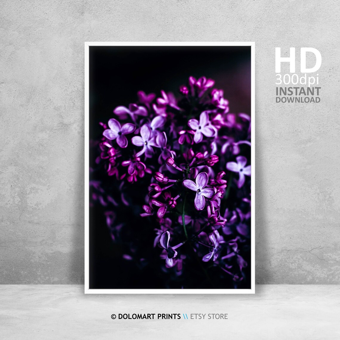 Purple Flower Photo Art Print, Purple and Black