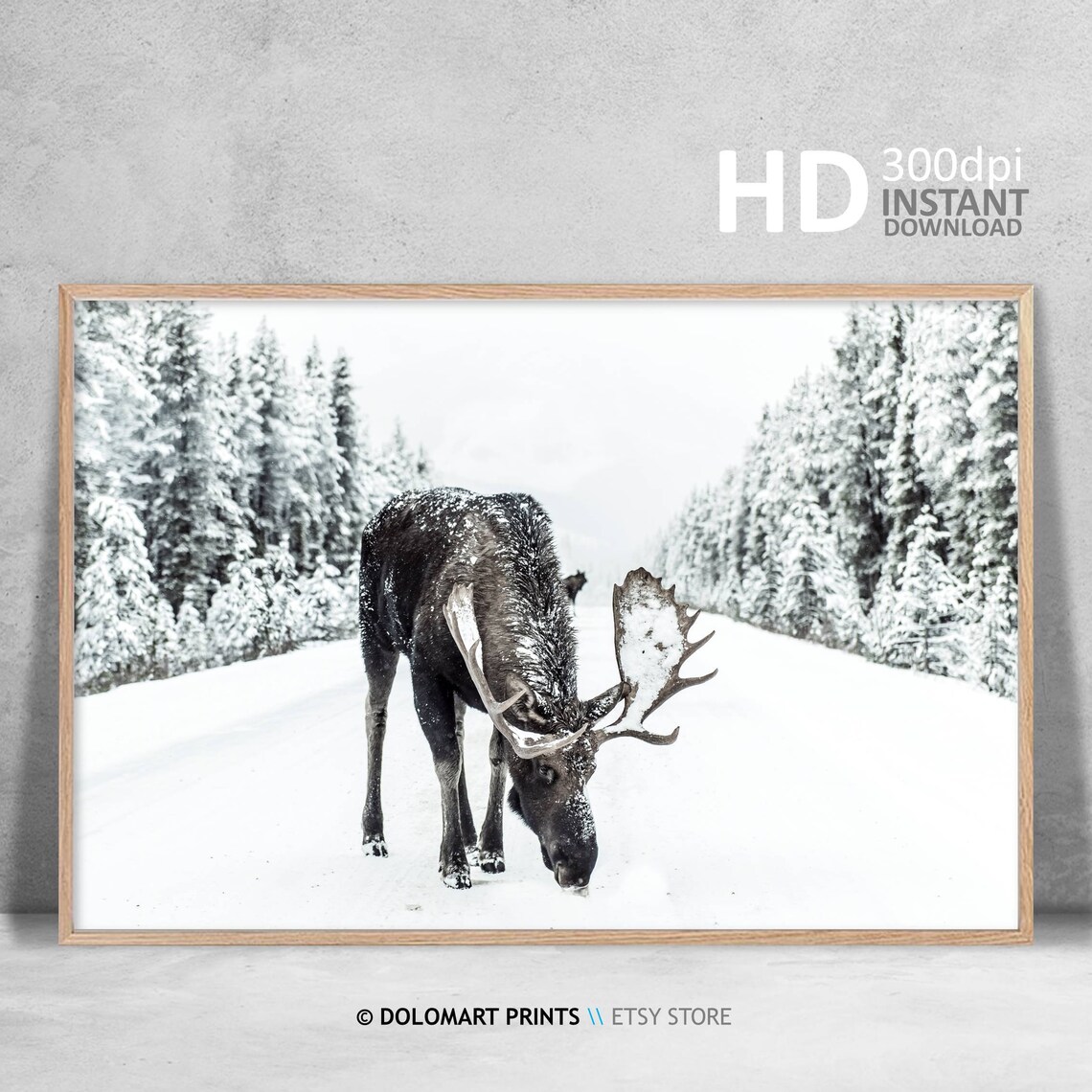 Moose in Snow Rustic Christmas Holiday Poster - Image 4