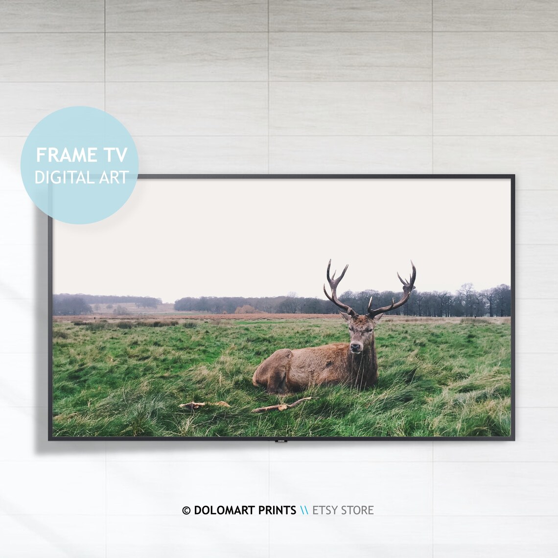 Majestic Red Deer Stag Antlers Resting Green Meadow Frame TV Poster